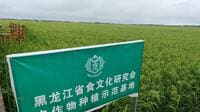 コメ高騰で､中国で日本への輸出に関心が高まる