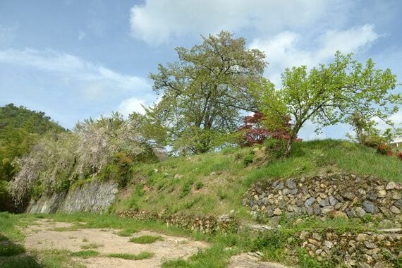 京都市を囲む御土居