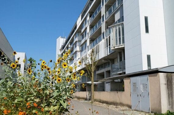 立体駐車場近くの花壇