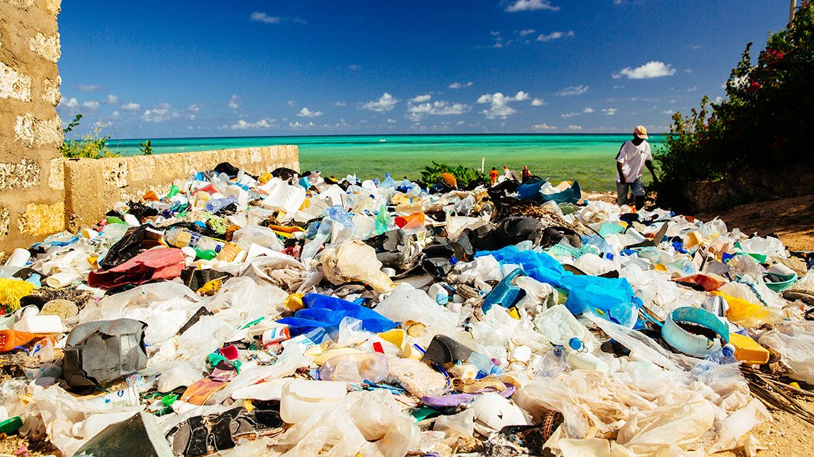 海岸に広がるプラスチックゴミ