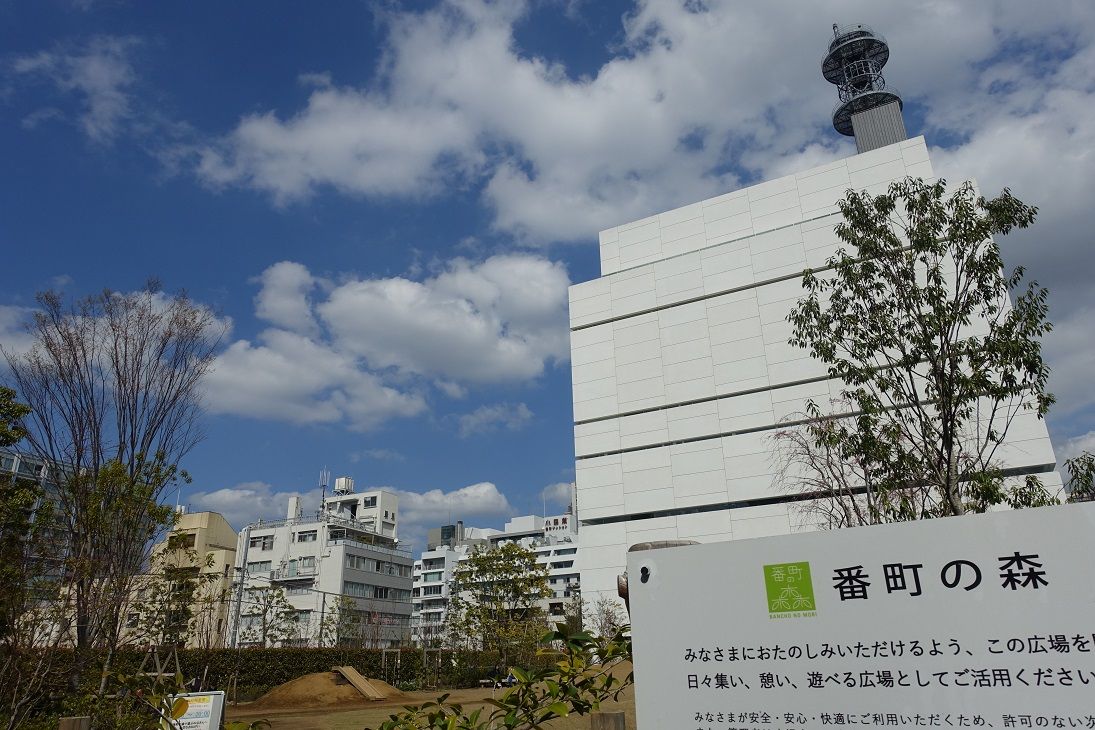 2003年まで日本テレビ放送網（現、日本テレビHD）が本社を構えていた二番町の敷地。現在はスタジオ棟や駐車場、「番町の森」広場がある。（記者撮影）