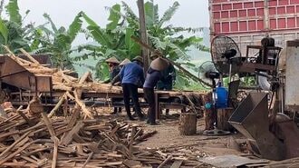 ベトナムで進む木質ペレット生産の危うい状況