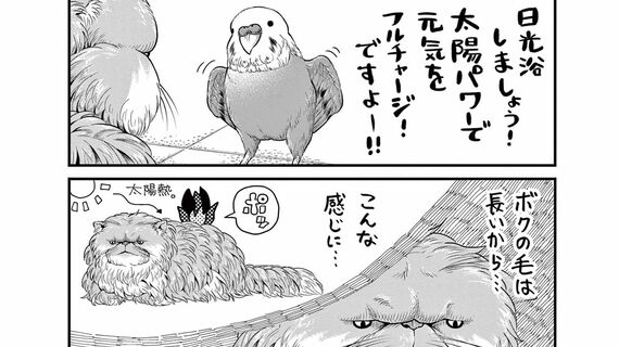 『ニャーゴとピュロロロ』