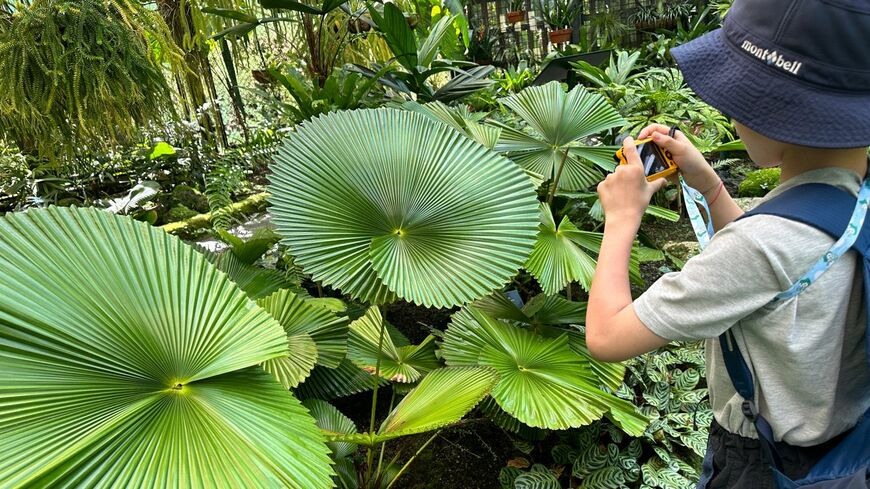 ケアンズ訪問時の長男