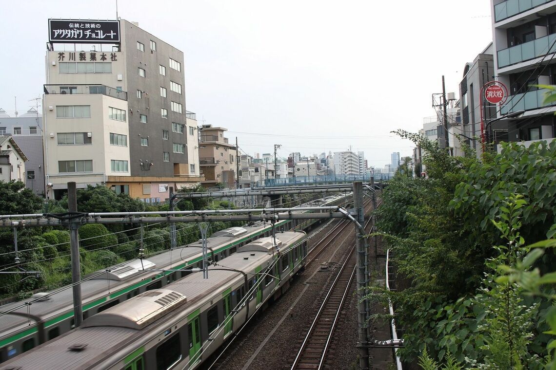 山手線と湘南新宿ライン