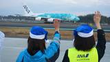 2020年12月12日の「アーリークリスマス」フライトで、離陸直前の機材を見送るANAスタッフ（記者撮影）