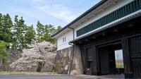 田沼意次が矢継ぎ早に打った｢大胆な財政改革｣