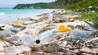 海に漂う｢プラスチックごみ｣の深刻すぎる影響