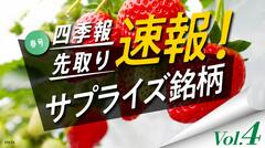サプライズ④ 急成長期待､グロース上場の独自増額5銘柄