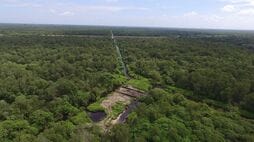 〈宇宙×林業〉インドネシアの大規模パーム油農園収量増に住友林業が挑む／カギは地下水を制する衛星データ新技術