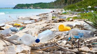 海に漂う｢プラスチックごみ｣の深刻すぎる影響