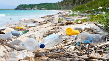 海に漂う｢プラスチックごみ｣の深刻すぎる影響 生物の体内にも蓄積､使用