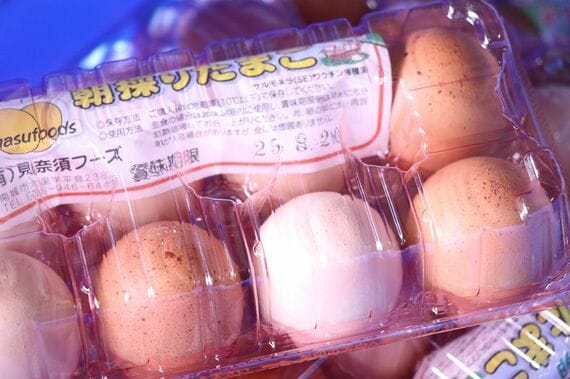 中身美人