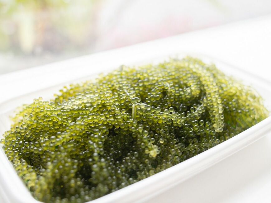 海ぶどうはパックに大盛りで800円（筆者撮影）