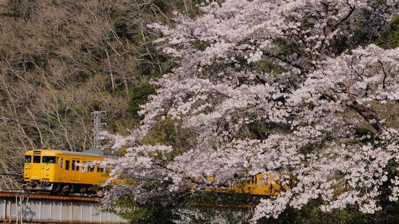 鉄道モーター保守の富士電機製作所、下水道ポンプ修繕で異業種に活路