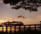 夕陽に照らされた山陰本線のコンクリート橋を行くD51形牽引の列車（撮影：南正時）