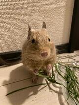 （写真：みきさん）