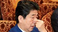 安倍政権､高支持率の影に見える漂流の兆し 経済､外交､改憲の先に立ちふさがる高い壁