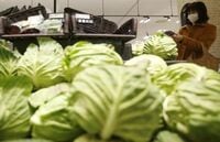 農家にも広がる､｢反アベノミクス｣の波 せめぎ合い続く農業改革