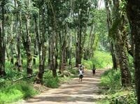 世界一貧しい大陸、アフリカは変わるか？ 当たり前のことを、当たり前にする難しさ