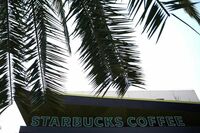 米スタバ､第1四半期の米州売上高は3％増 売上高は57億ドル､市場予想は下回る