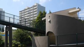 横浜にある築55年《"巨大な人工池"がある団地》自然に溶け込んだ｢贅沢な部屋の内部｣をのぞいてみた