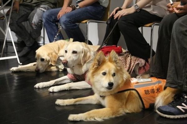 東京で車いすの不便さをトコトン考えてみる Garden 東洋経済オンライン 社会をよくする経済ニュース