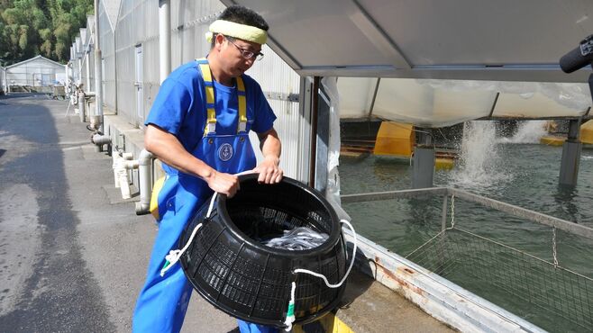 薬を使わず｢養鰻｣､大分県にある中小企業の挑戦