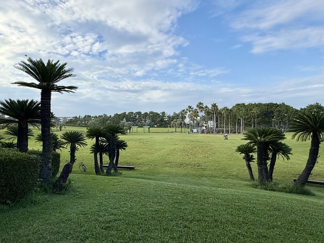 辻堂海浜公園
