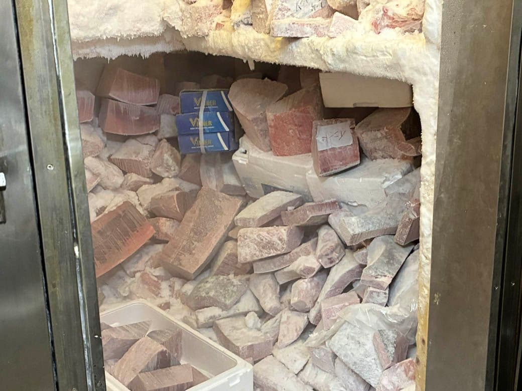 冷凍庫に保管されているマグロ