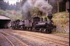重連で走る阿里山森林鉄道のシェイ