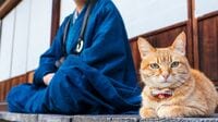非課税でもシビア…意外と寂しいお寺の｢懐具合｣