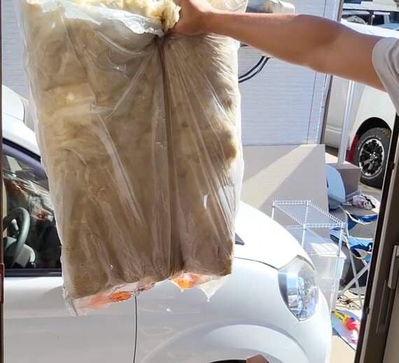 水を吸った断熱材の中身