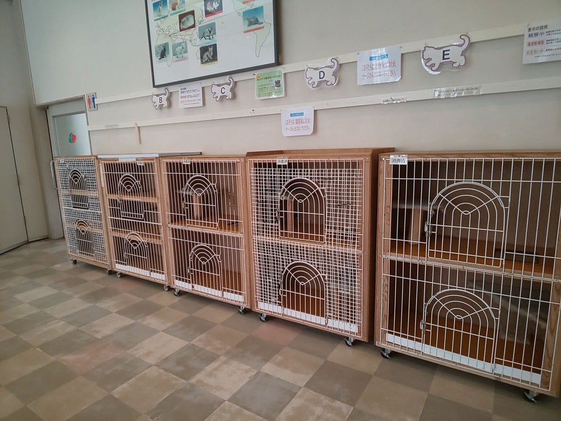 滋賀県動物保護センターの猫の飼育ケージ（筆者撮影）