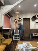 オフィスにキャットタワーなどを備え、社内で猫たちが遊べる環境に改装した