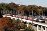 紅葉の武蔵野南線を走るEF64形1000番台牽引の貨物列車（撮影：南正時）