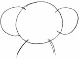 「基本図形」の「円」1つの後ろに左右2つの「円」を重ねることで、コアラの「顔」と「耳」ができる（出所：『たった30日で「プロ級の絵」が楽しみながら描けるようになる本』）