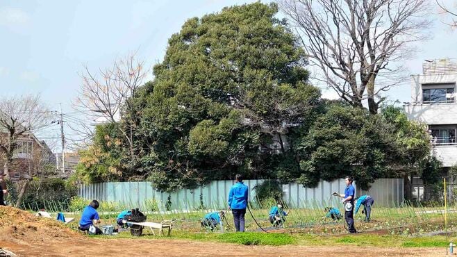 農業高校が70年以上続けるプロジェクト型学習