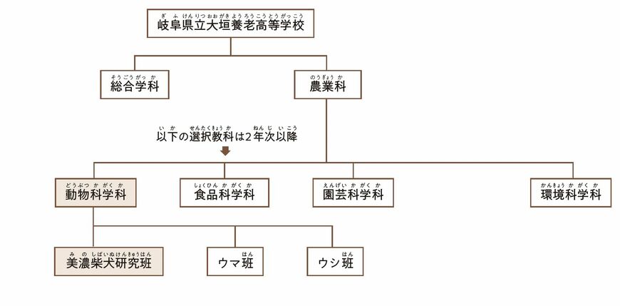 美濃柴犬研究班