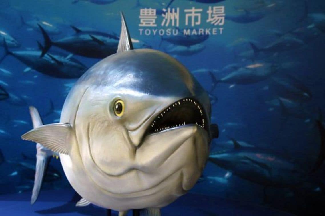 マグロは築地市場で最も取引される魚だ