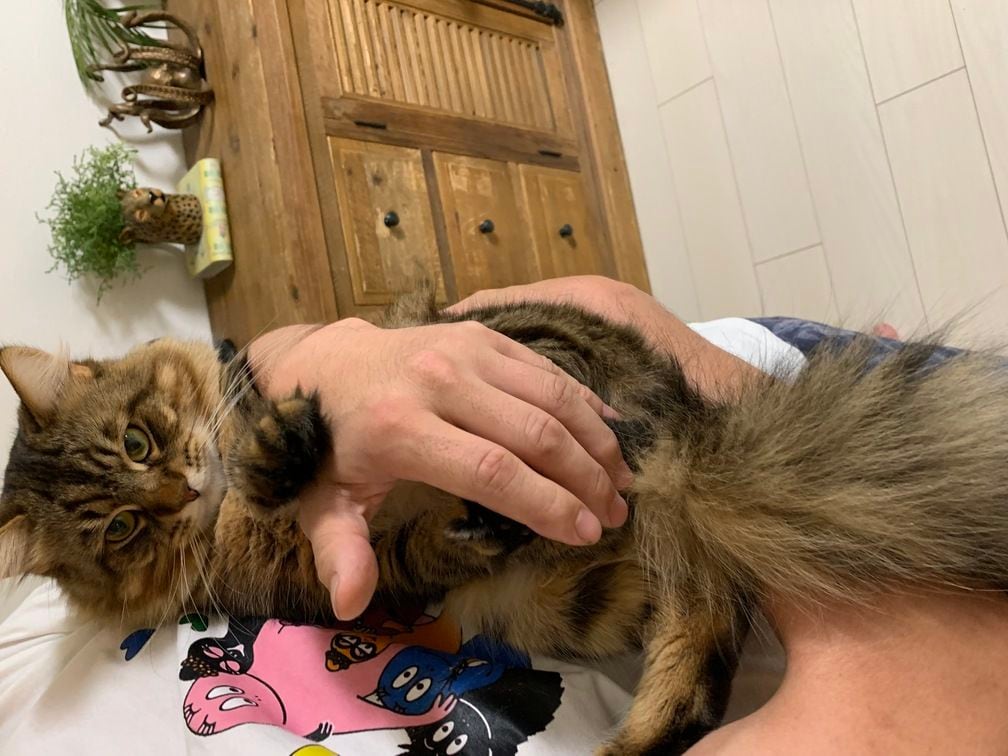 アルテイシアさんの家族