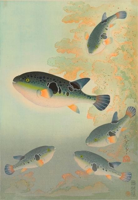 【版画】２匹の魚　***即購入可能 img_73bc71ef7980eeb9a9762daf75