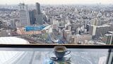東京ドームホテルからの景色