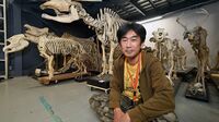 アフリカゾウはいったん埋め2年後掘り起こして標本に 国立科学博物館 動物研究部研究主幹 川田伸一郎氏に聞く