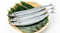 昔は1尾100円！｢庶民のサンマ｣はこう激減した 温暖化やマイワシ､中･台の乱獲が原因なのか