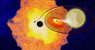 超大質量ブラックホール周辺にさらに数千個