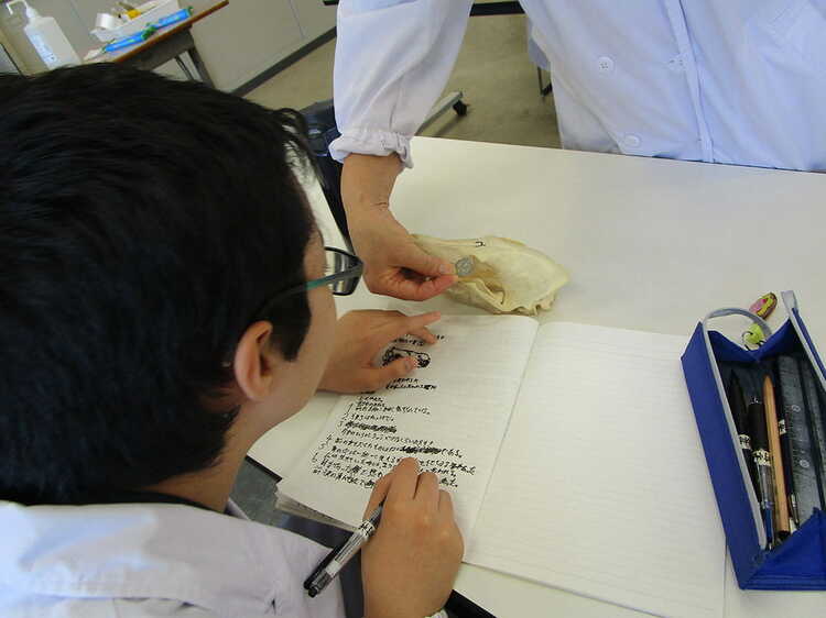 画像 | 視覚障害の子の｢さわる授業｣､すべてに共通する｢学びの本質｣が