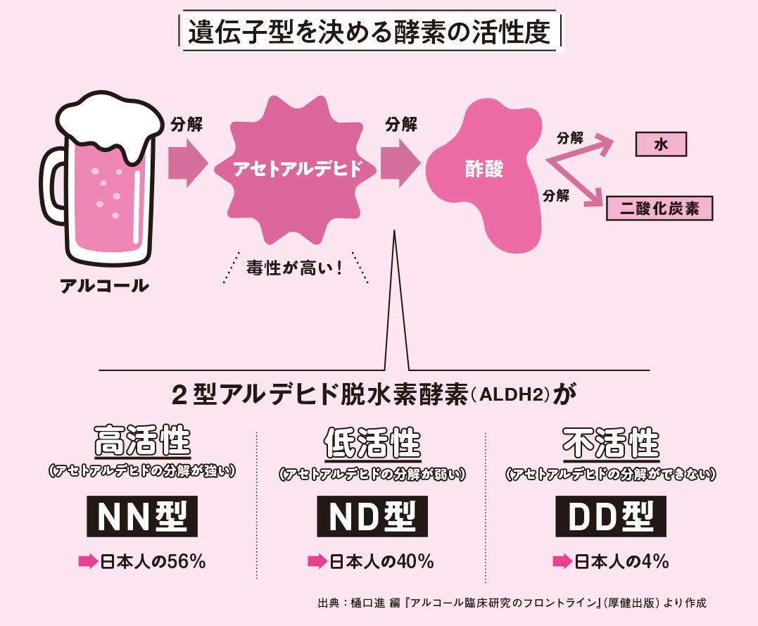 図：遺伝子型を決める酵素の活性度／出所：『肝臓から脂肪を落とす お酒と甘いものを一生楽しめる飲み方、食べ方』