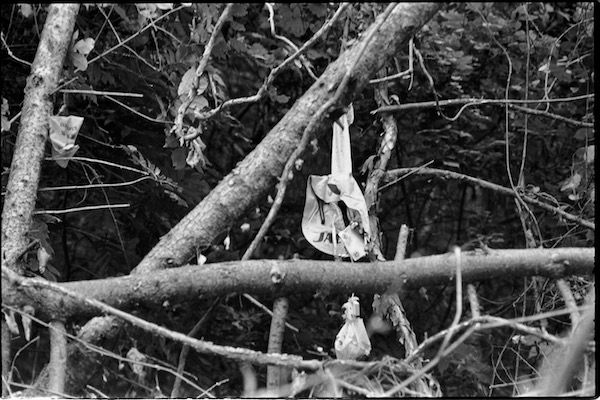 枝に引っかかったJALの救命胴衣（撮影：小平尚典）