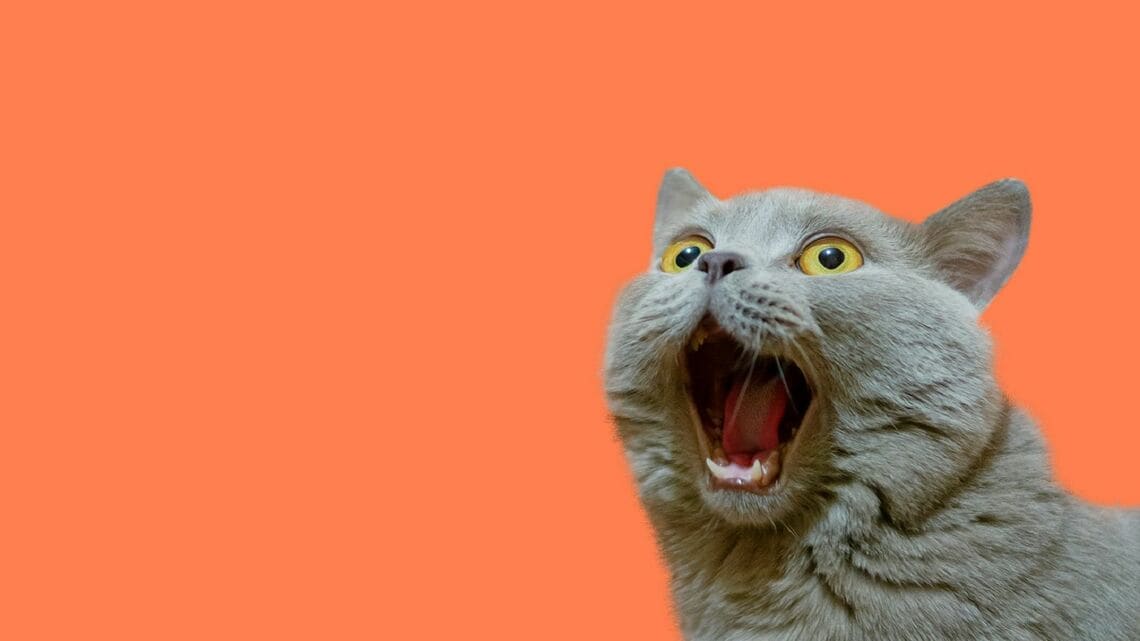 実は、頼みごとにはゴールデンタイムがある!?あなたの「お願い」が格段に通りやすくなるかもしれない“時間帯”の秘密に迫ります(写真:iStock)